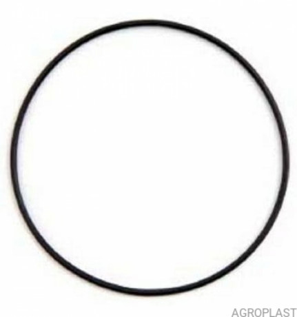 Орінг сита великого фільтра /AP15OS