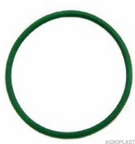 Орінг ущільнення склянки відстійника /AP19UO